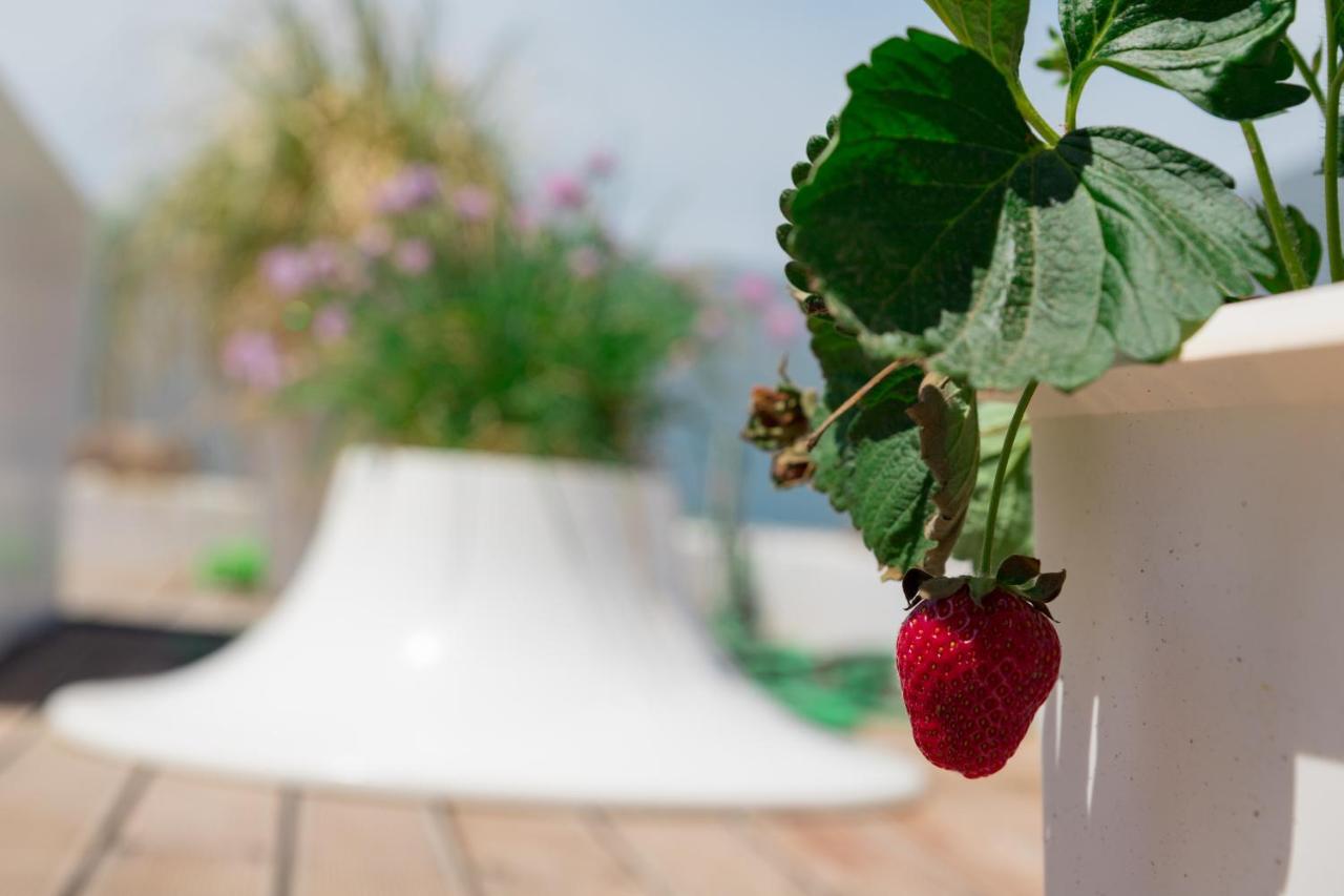 Dreamy Aegean View Apartment Athens Exterior photo